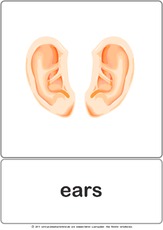 Bildkarte - ears.pdf